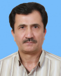 Hassan Hassanzadeh