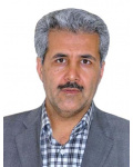 محسن نوکاریزی 