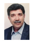 هادی عربی