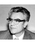 غلامحسین شکوهی