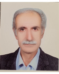 پرویز حسن پور
