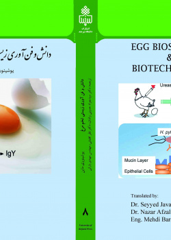 دانش و فن آوری زیستی تخم مرغ