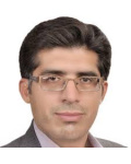 حسین فضائلی مقیمی