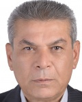Mohammad Mahdi Firoozabadi