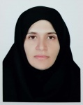 Maryam Mortazavi Mehrizi